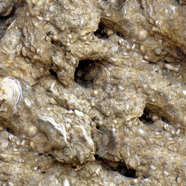 Textures   -   NATURE ELEMENTS   -   ROCKS  - Rock stone texture seamless 12659 - HR Full resolution preview demo