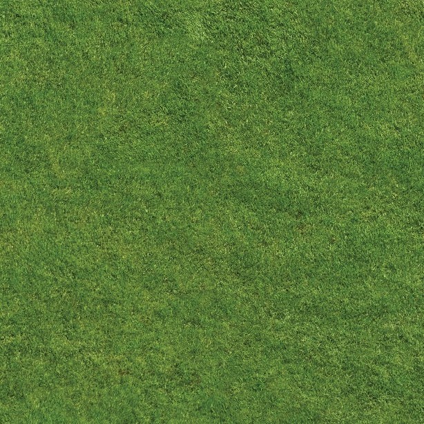 Textures   -   NATURE ELEMENTS   -   VEGETATION   -   Green grass  - Green grass texture seamless 13007 - HR Full resolution preview demo