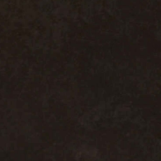 Textures   -   MATERIALS   -   METALS   -   Basic Metals  - Dark bronze with rust accents metal texture seamless 09770 - HR Full resolution preview demo