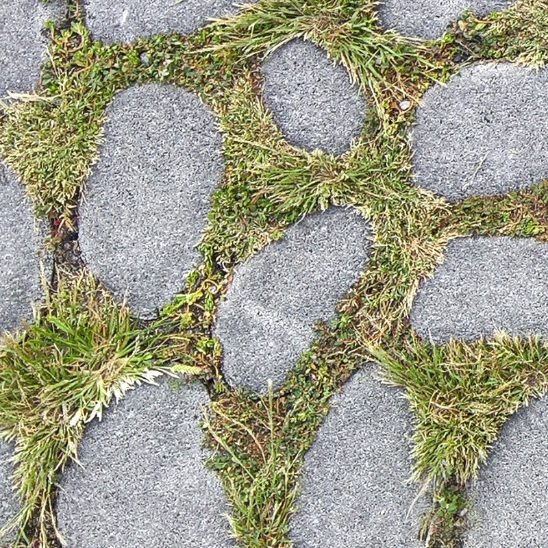 Textures   -   ARCHITECTURE   -   ROADS   -   Paving streets   -   Rounded cobble  - Rounded cobblestone texture seamless 17517 - HR Full resolution preview demo