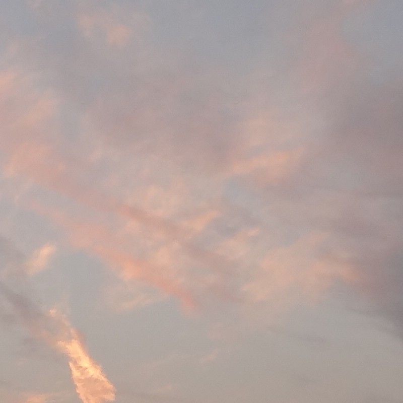 Textures   -   BACKGROUNDS &amp; LANDSCAPES   -   SUNRISES &amp; SUNSETS  - Sunrise with landscape background 18534 - HR Full resolution preview demo