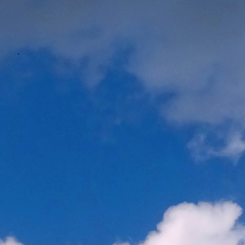 Textures   -   BACKGROUNDS &amp; LANDSCAPES   -   SKY &amp; CLOUDS  - Cloudy sky background 18372 - HR Full resolution preview demo