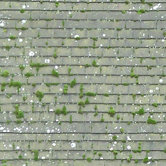 Textures   -   ARCHITECTURE   -   ROOFINGS   -   Flat roofs  - England old flat clay roof tiles texture seamless 03575 - HR Full resolution preview demo