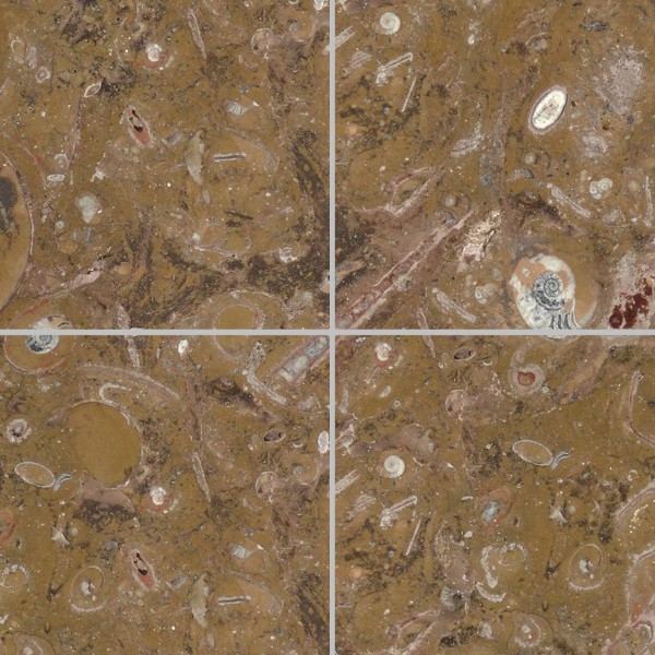 Textures   -   ARCHITECTURE   -   TILES INTERIOR   -   Marble tiles   -   Brown  - Fossil brown marble tile texture seamless 14241 - HR Full resolution preview demo