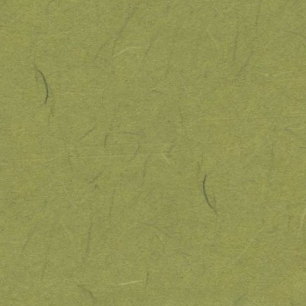 Textures   -   MATERIALS   -   PAPER  - Green rice paper texture seamless 10885 - HR Full resolution preview demo