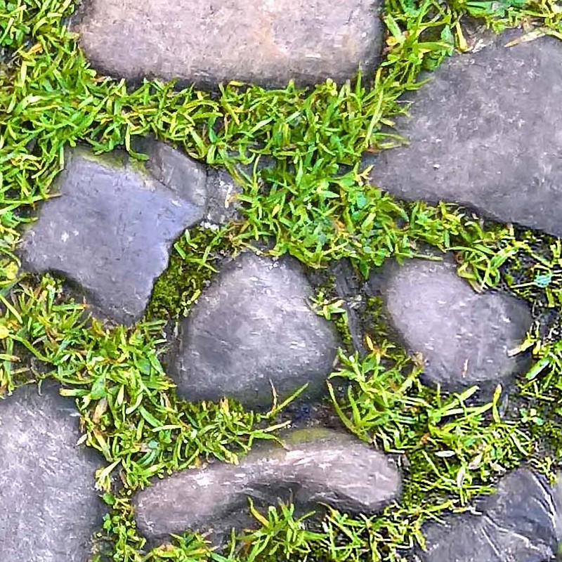 Textures   -   ARCHITECTURE   -   ROADS   -   Paving streets   -   Rounded cobble  - Road rounded cobblestone with green grass texture seamless 20194 - HR Full resolution preview demo