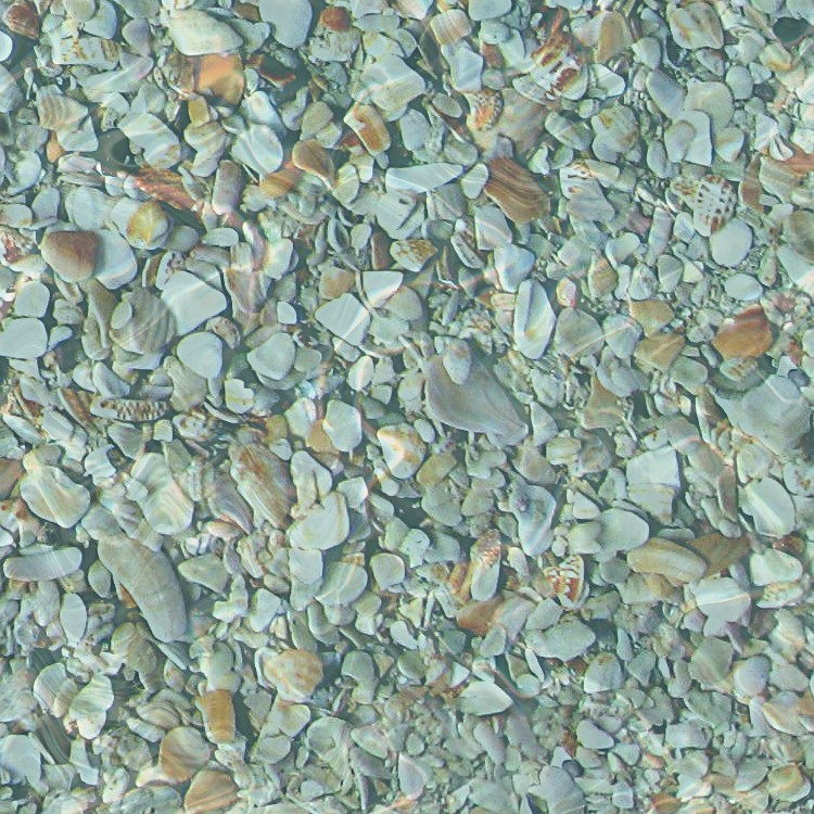 Textures   -   NATURE ELEMENTS   -   SAND  - Underwater beach sand texture seamless 12764 - HR Full resolution preview demo