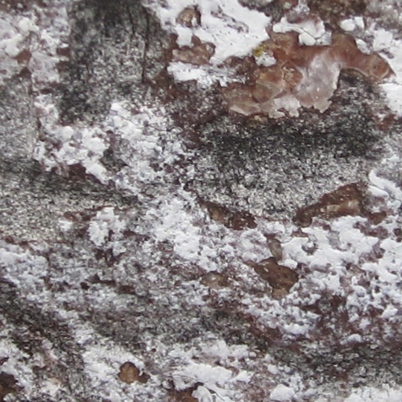 Textures   -   NATURE ELEMENTS   -   ROCKS  - Rock stone texture seamless 12686 - HR Full resolution preview demo