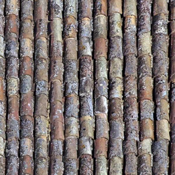 Textures   -   ARCHITECTURE   -   ROOFINGS   -   Clay roofs  - Old clay roofing texture seamless 03409 - HR Full resolution preview demo