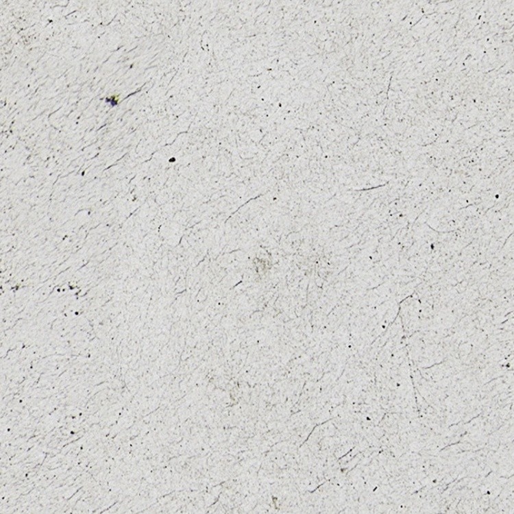 Textures   -   ARCHITECTURE   -   STONES WALLS   -   Wall surface  - Stone wall surface texture seamless 08659 - HR Full resolution preview demo