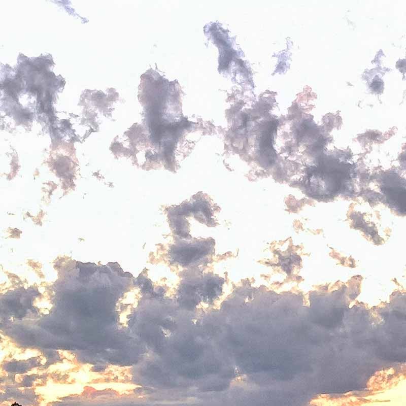Textures   -   BACKGROUNDS &amp; LANDSCAPES   -   SUNRISES &amp; SUNSETS  - Autumn sunset with countryside background 21023 - HR Full resolution preview demo