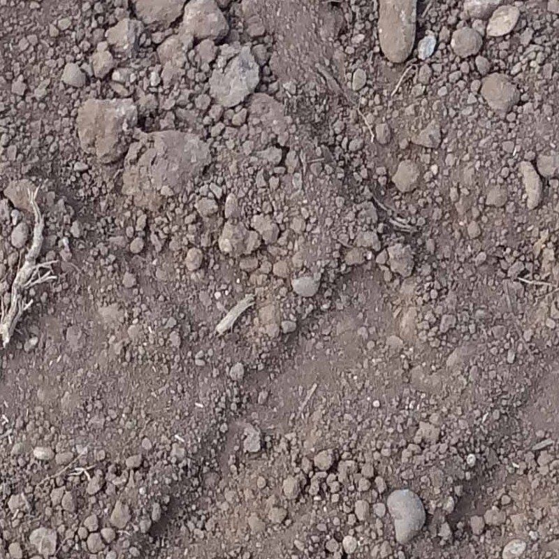 Textures   -   NATURE ELEMENTS   -   SOIL   -   Ground  - Ground with tire marks texture seamless 21306 - HR Full resolution preview demo