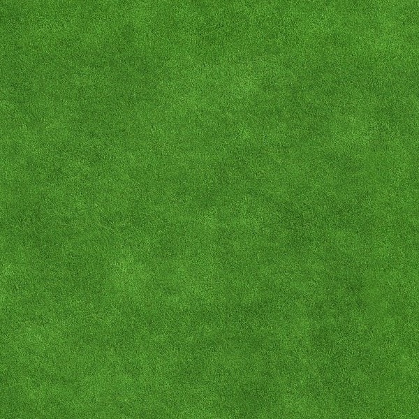 Textures   -   NATURE ELEMENTS   -   VEGETATION   -   Green grass  - Green grass texture seamless 13053 - HR Full resolution preview demo