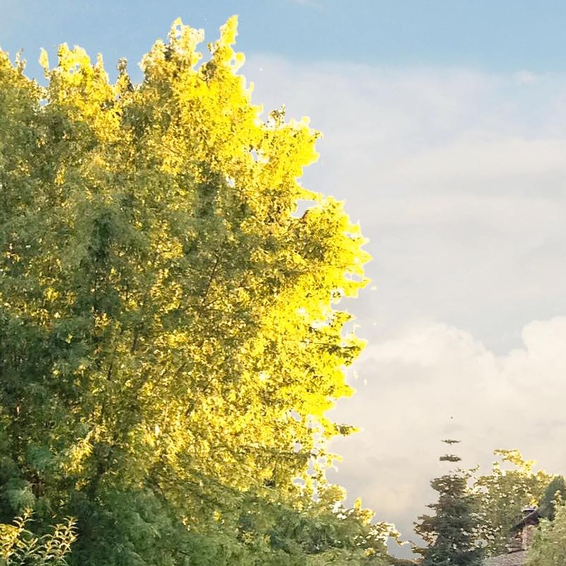 Textures   -   BACKGROUNDS &amp; LANDSCAPES   -   CITY &amp; TOWNS  - Urban area landscape background 19027 - HR Full resolution preview demo