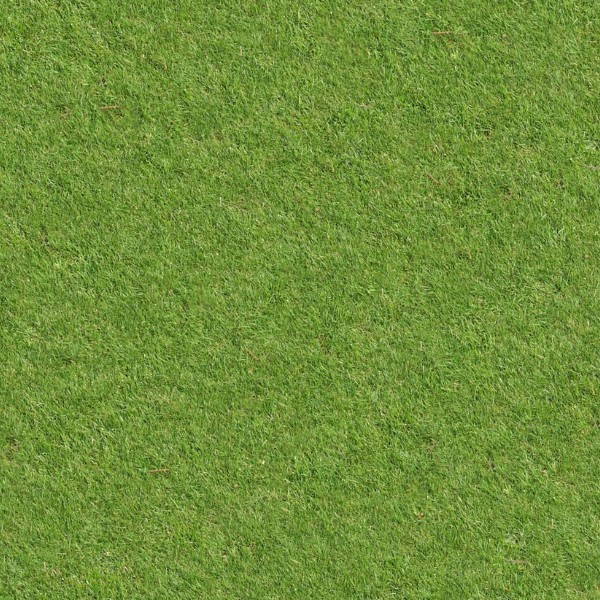 Textures   -   NATURE ELEMENTS   -   VEGETATION   -   Green grass  - Green grass texture seamless 13056 - HR Full resolution preview demo