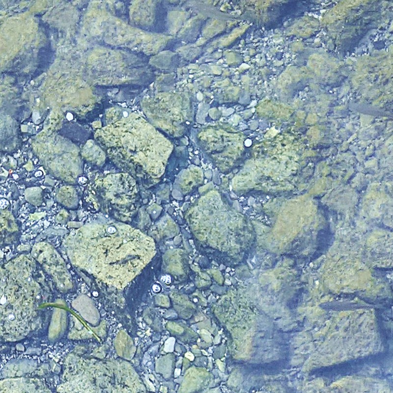Textures   -   NATURE ELEMENTS   -   GRAVEL &amp; PEBBLES  - Pebbles under water texture seamless 18210 - HR Full resolution preview demo