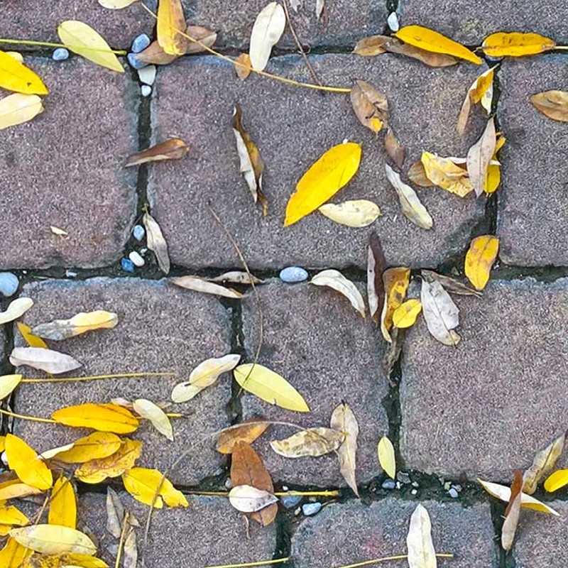 Textures - ARCHITECTURE - ROADS - Paving streets - Cobblestone - Cobblestone with leaves dead texture seamless 20537 - HR Full resolution preview demo
