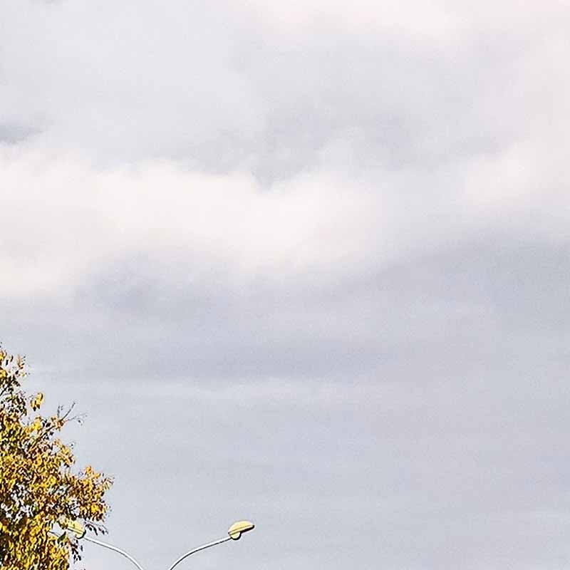 Textures   -   BACKGROUNDS &amp; LANDSCAPES   -   CITY &amp; TOWNS  - Italy urban area with autumn trees landscape 21043 - HR Full resolution preview demo