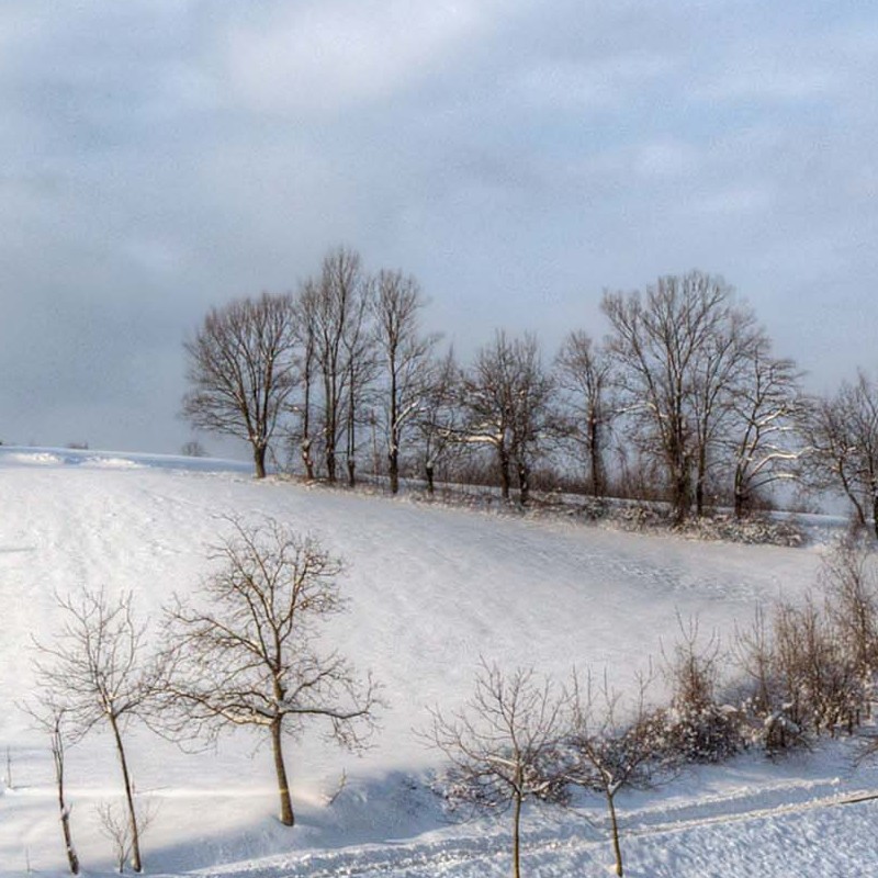 Textures   -   BACKGROUNDS &amp; LANDSCAPES   -   NATURE   -   Countrysides &amp; Hills  - Background snowfall in the countryside 20214 - HR Full resolution preview demo