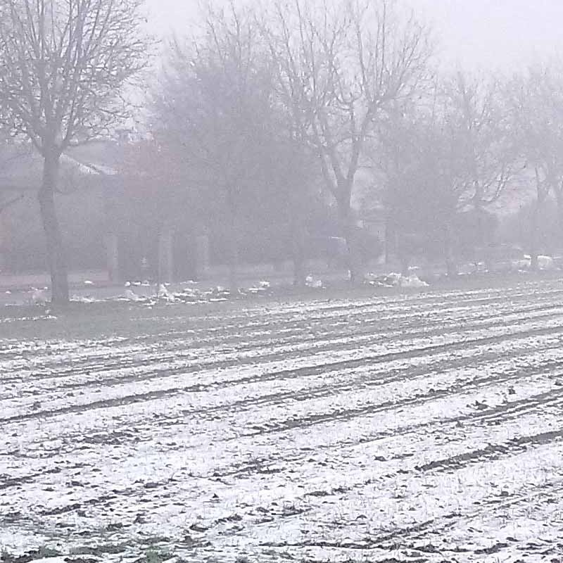 Textures   -   BACKGROUNDS &amp; LANDSCAPES   -   NATURE   -   Countrysides &amp; Hills  - First snowfall with countryside background 21158 - HR Full resolution preview demo