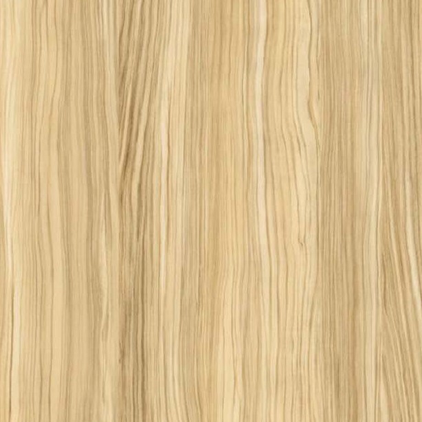 Textures   -   ARCHITECTURE   -   WOOD   -   Fine wood   -   Light wood  - Olive fine wood PBR texture seamless 21555 - HR Full resolution preview demo