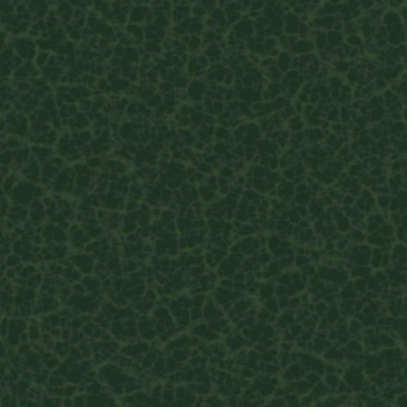 Textures   -   MATERIALS   -   LEATHER  - Green leather PBR texture seamless 22085 - HR Full resolution preview demo