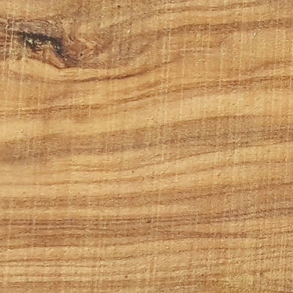 Textures   -   ARCHITECTURE   -   WOOD   -   Raw wood  - Raw wood PBR texture seamless 21838 - HR Full resolution preview demo