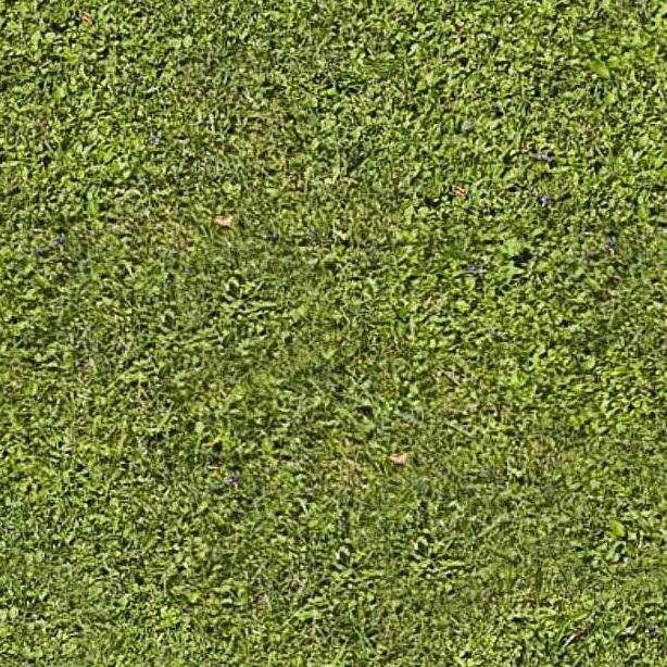 Textures   -   NATURE ELEMENTS   -   VEGETATION   -   Green grass  - Green grass texture seamless 12972 - HR Full resolution preview demo