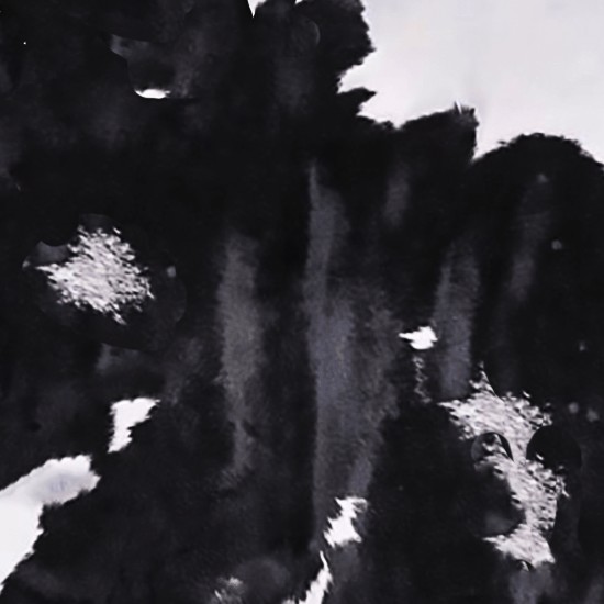 Textures   -   MATERIALS   -   RUGS   -   Cowhides rugs  - Cow leather rug texture 20016 - HR Full resolution preview demo