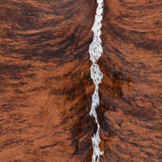 Textures   -   MATERIALS   -   RUGS   -   Cowhides rugs  - Cow leather rug texture 20017 - HR Full resolution preview demo