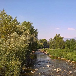 Textures - BACKGROUNDS & LANDSCAPES - NATURE