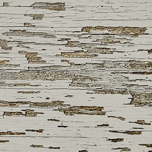 Textures   -   ARCHITECTURE   -  WOOD - cracking paint