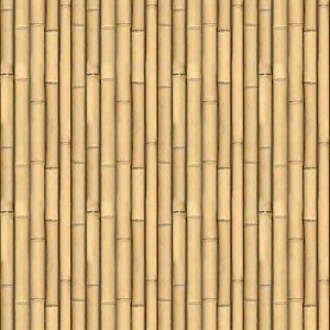 Textures   -  NATURE ELEMENTS - BAMBOO