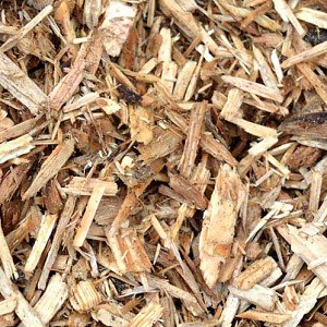 Textures   -   ARCHITECTURE   -  WOOD - Wood Chips - Mulch
