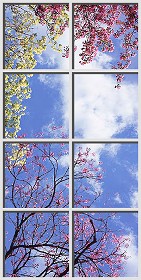 Textures   -   ARCHITECTURE   -   BUILDINGS   -   Windows   -  special windows - Special window texture 01126