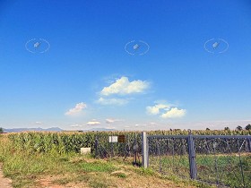 Textures   -   BACKGROUNDS &amp; LANDSCAPES   -   NATURE   -  Countrysides &amp; Hills - Countrysides landscape texture 17496