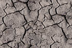 Textures   -   NATURE ELEMENTS   -   SOIL   -  Mud - Cracked dried mud texture seamless 12873
