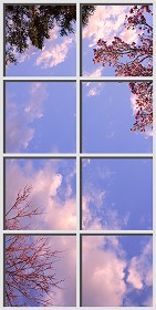Textures   -   ARCHITECTURE   -   BUILDINGS   -   Windows   -  special windows - Special window texture 01128