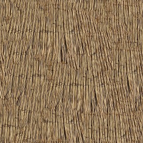 Textures   -   ARCHITECTURE   -   ROOFINGS   -  Thatched roofs - Thatched roof texture seamless 04042