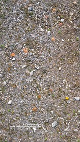 Textures   -   ARCHITECTURE   -   ROADS   -  Dirt Roads - Dirt road with stones texture seamless 20460
