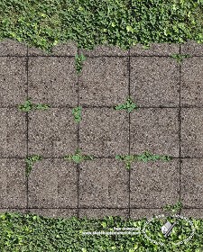 Textures   -   ARCHITECTURE   -   PAVING OUTDOOR   -  Parks Paving - Washed gravel park paving texture seamless 18667