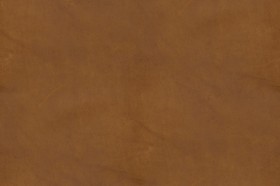 Textures   -   MATERIALS   -  LEATHER - Leather texture seamless 09594