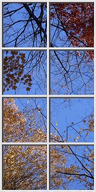 Textures   -   ARCHITECTURE   -   BUILDINGS   -   Windows   -  special windows - Special window texture 01132