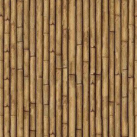 Textures   -   NATURE ELEMENTS   -  BAMBOO - Bamboo texture seamless 12275