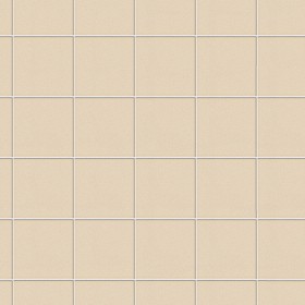 Textures   -   ARCHITECTURE   -   TILES INTERIOR   -   Plain color   -  cm 20 x 20 - Floor tile cm 20x20 texture seamless 15756