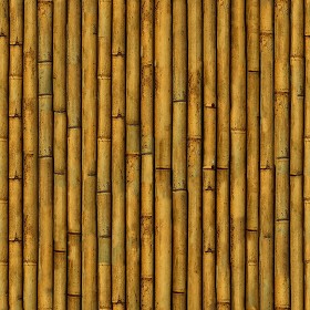 Textures   -   NATURE ELEMENTS   -  BAMBOO - Bamboo texture seamless 12276