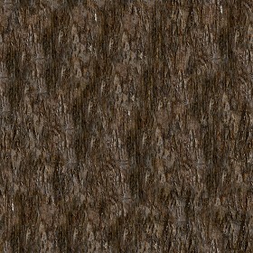Textures   -   NATURE ELEMENTS   -  BARK - Bark texture seamless 12319