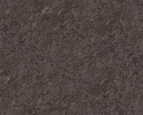 Textures   -   NATURE ELEMENTS   -   SOIL   -  Mud - Mud texture seamless 12884