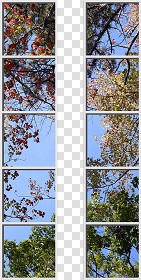 Textures   -   ARCHITECTURE   -   BUILDINGS   -   Windows   -  special windows - Special window texture 01136
