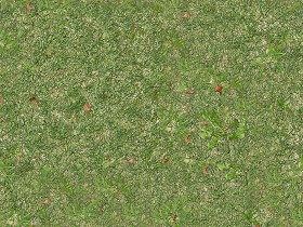 Textures   -   NATURE ELEMENTS   -   VEGETATION   -  Green grass - Green grass texture seamless 12980